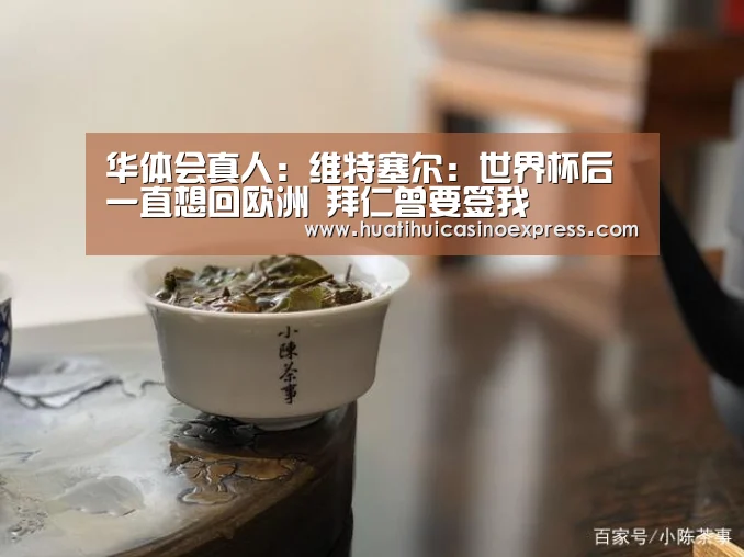 华体会真人：维特塞尔：世界杯后一直想回欧洲 拜仁曾要签我